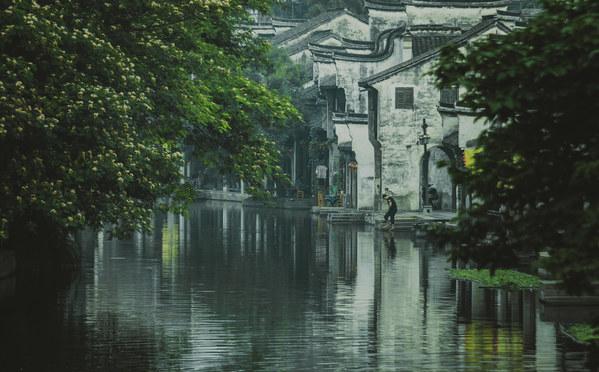 被困的狮王逃生3